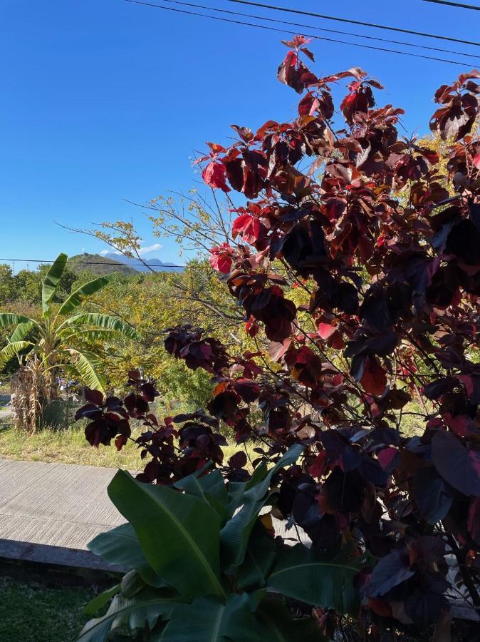 Jardin Sur Mer Terre-De-Haut Exterior foto