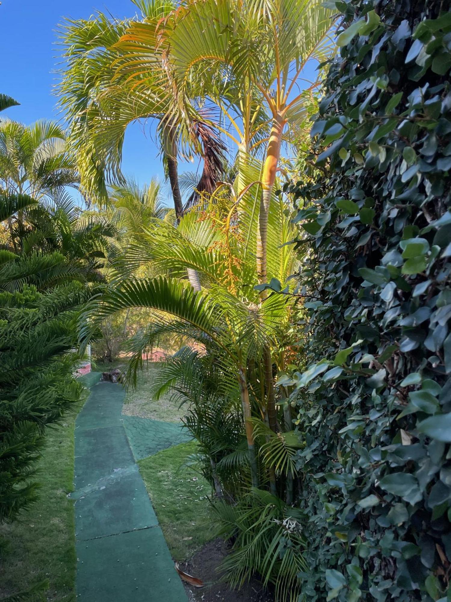 Jardin Sur Mer Terre-De-Haut Exterior foto